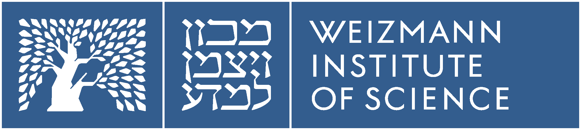 סיפריית גולדשלאגר